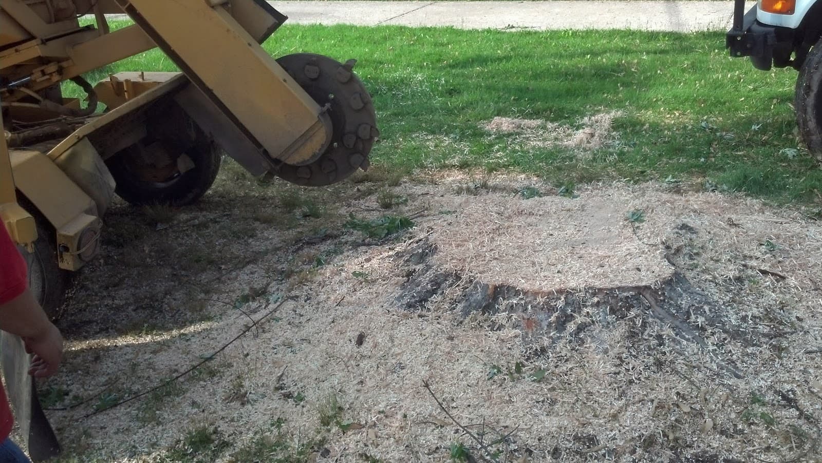 Jr Vasquez Tree Service