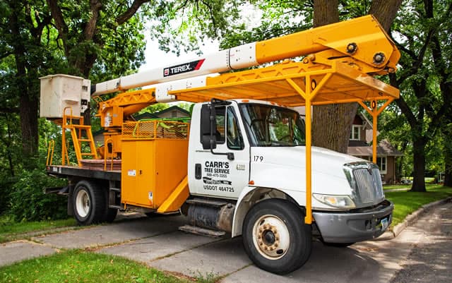 Carr's Tree Service