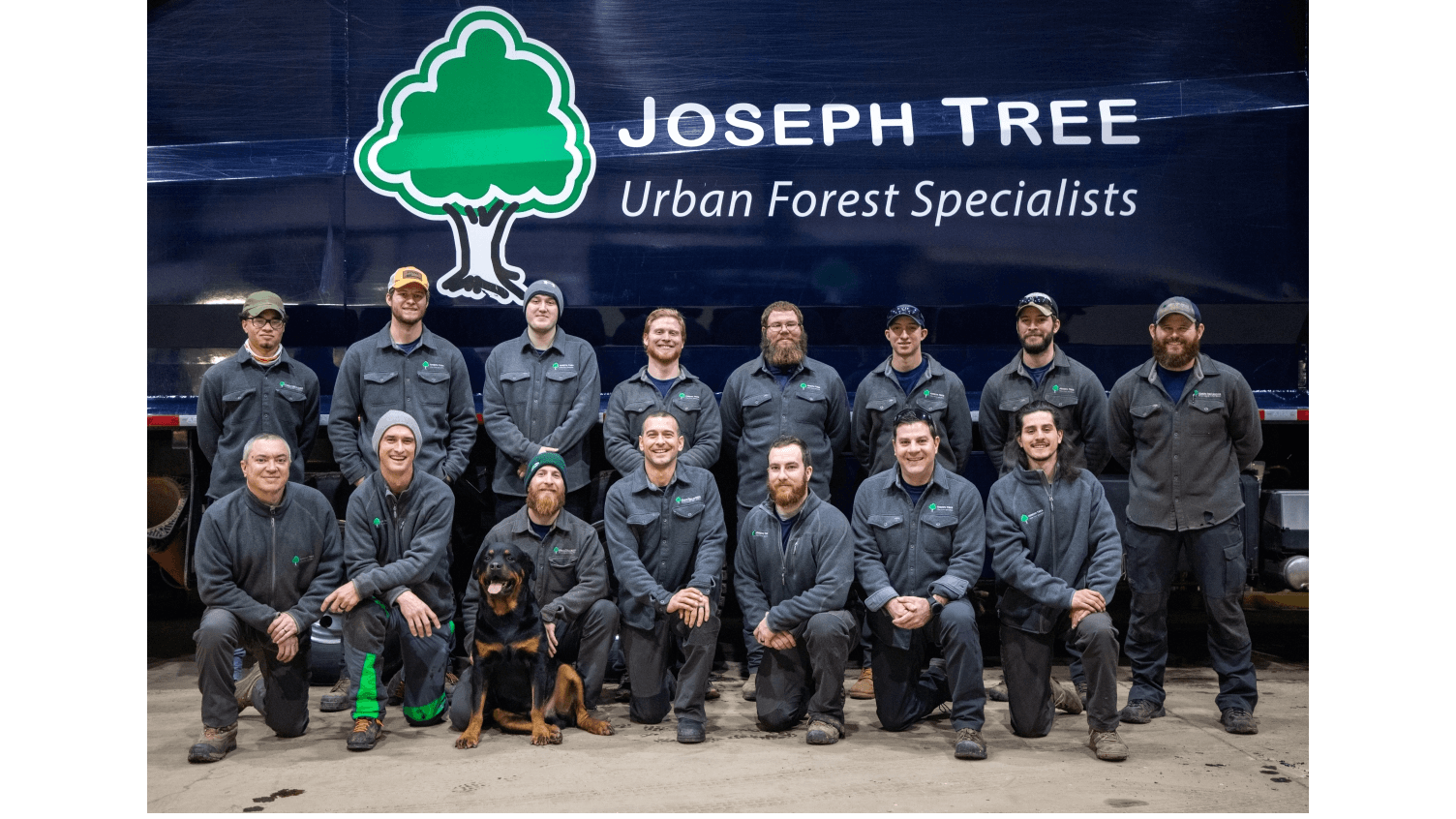Joseph Tree Service