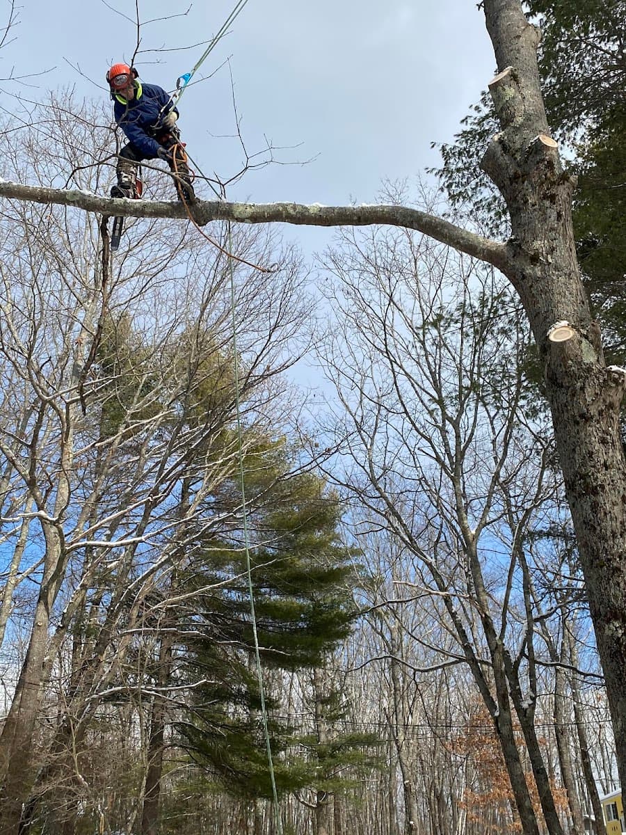 207 Landscaping Tree Service, LLC