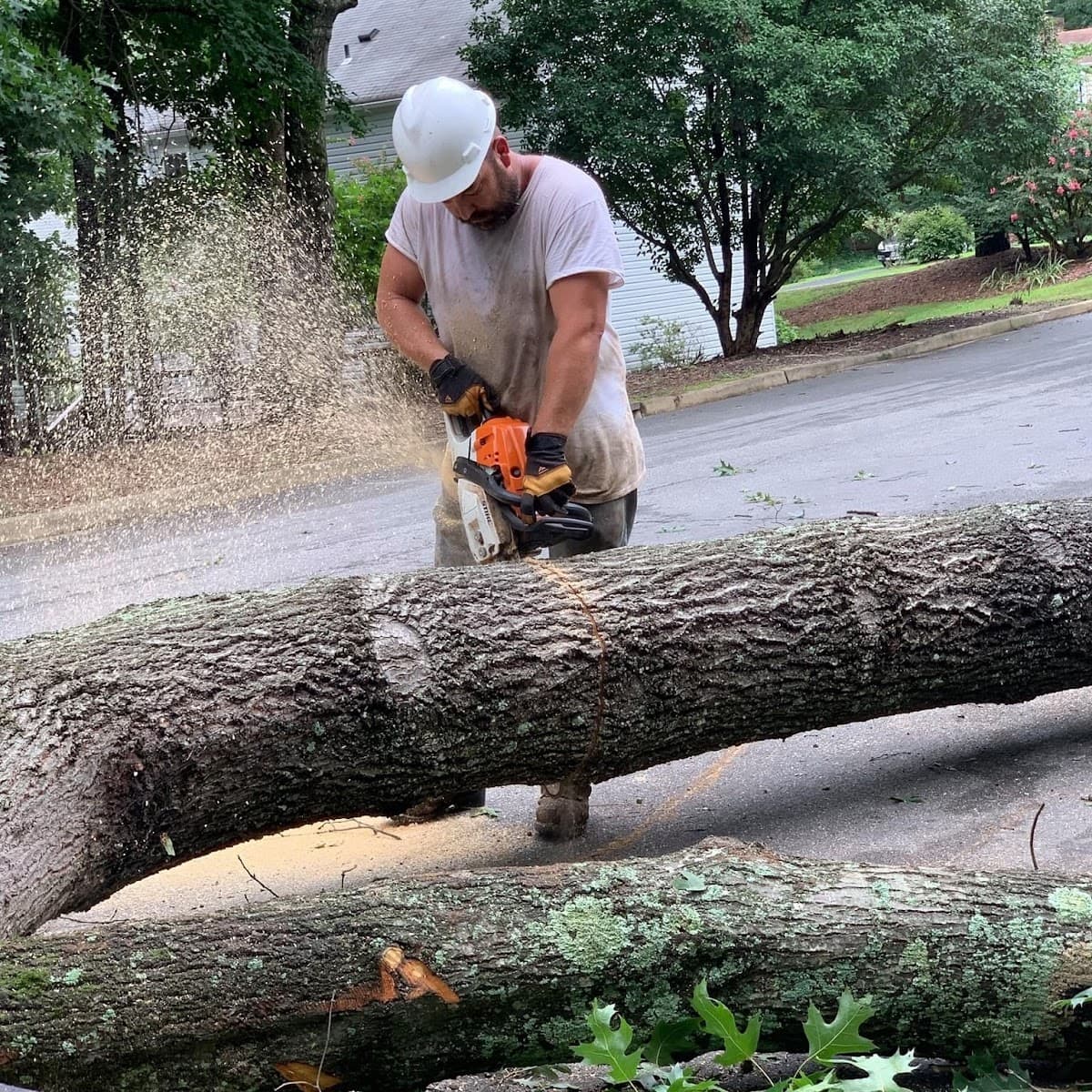 Old Dominion Tree Company