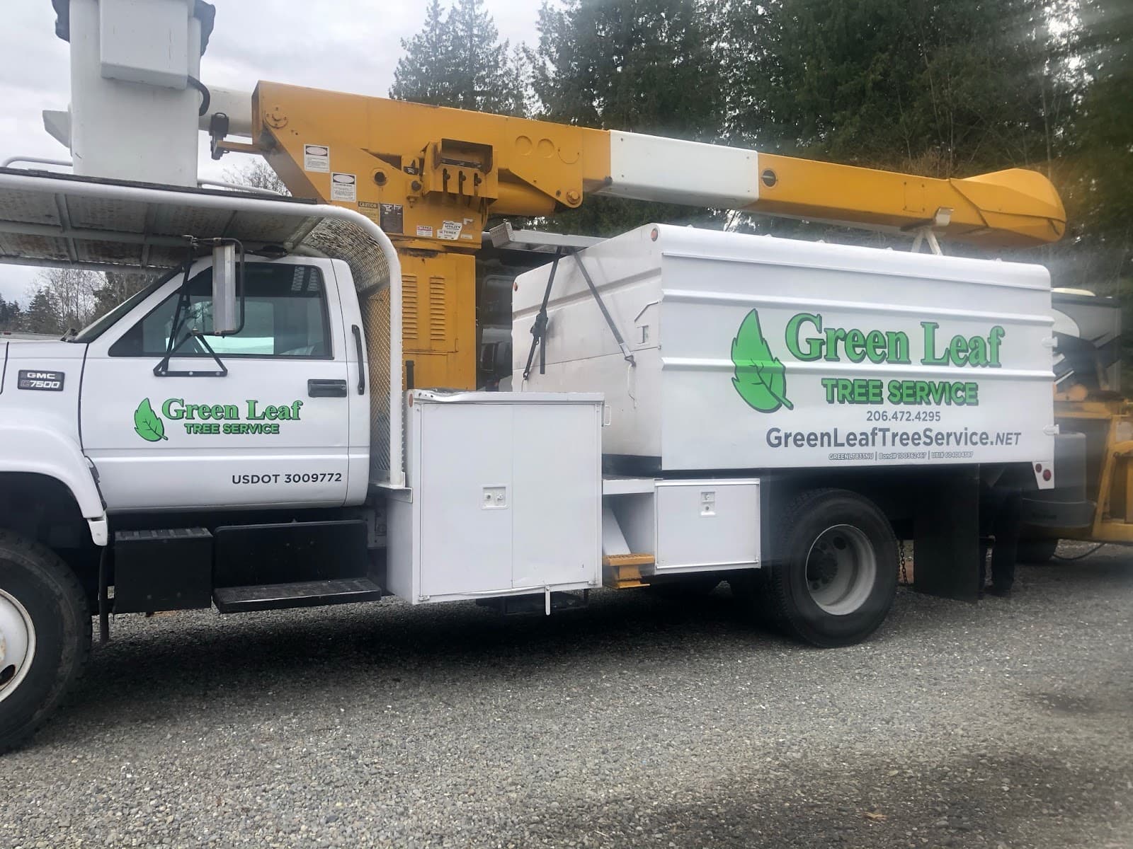 Green Leaf Tree Service