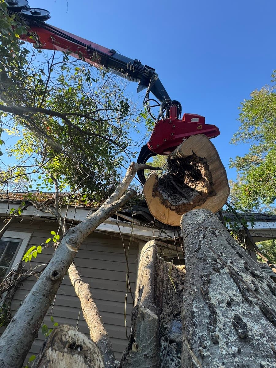 Pyramid Tree Service