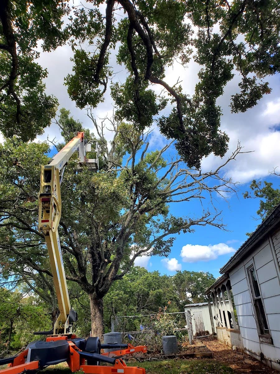 Charleston WV Tree Service