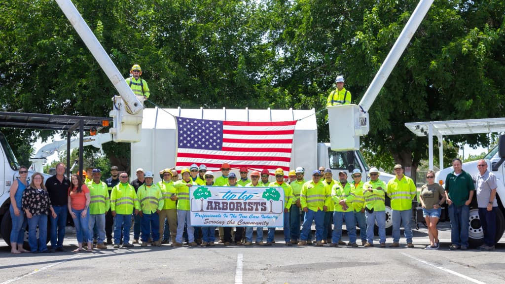 Tip Top Arborists