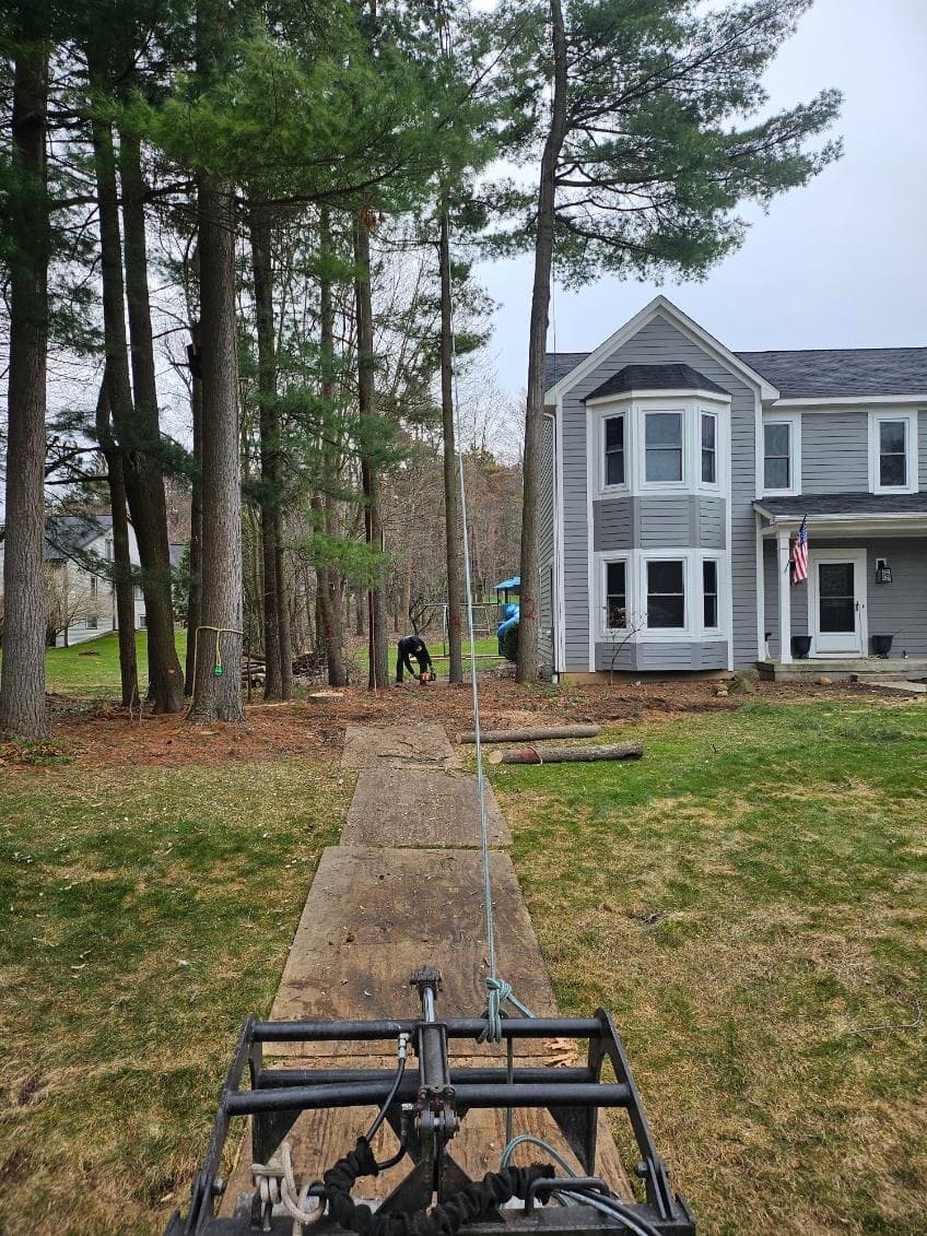 Logans Tree and Landscaping