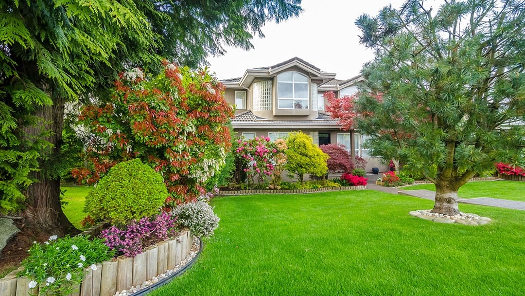 Guyton Tree Care LLC