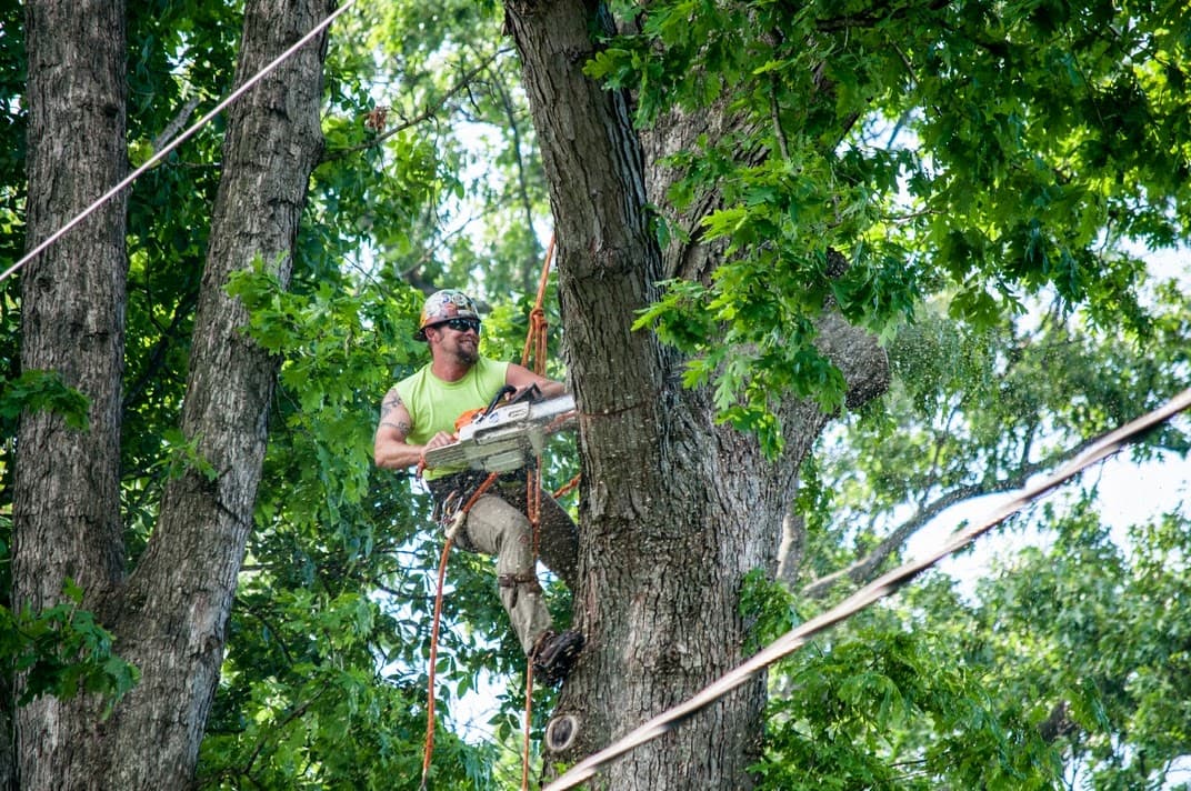 Dubois Tree Service, Inc