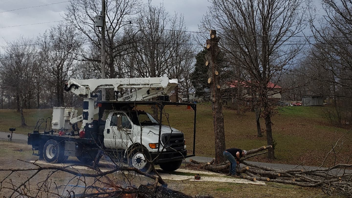 River Valley Tree Service