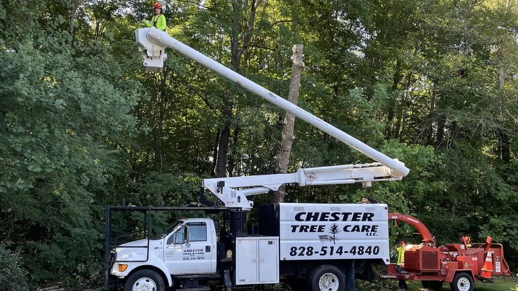 Chester Tree Care