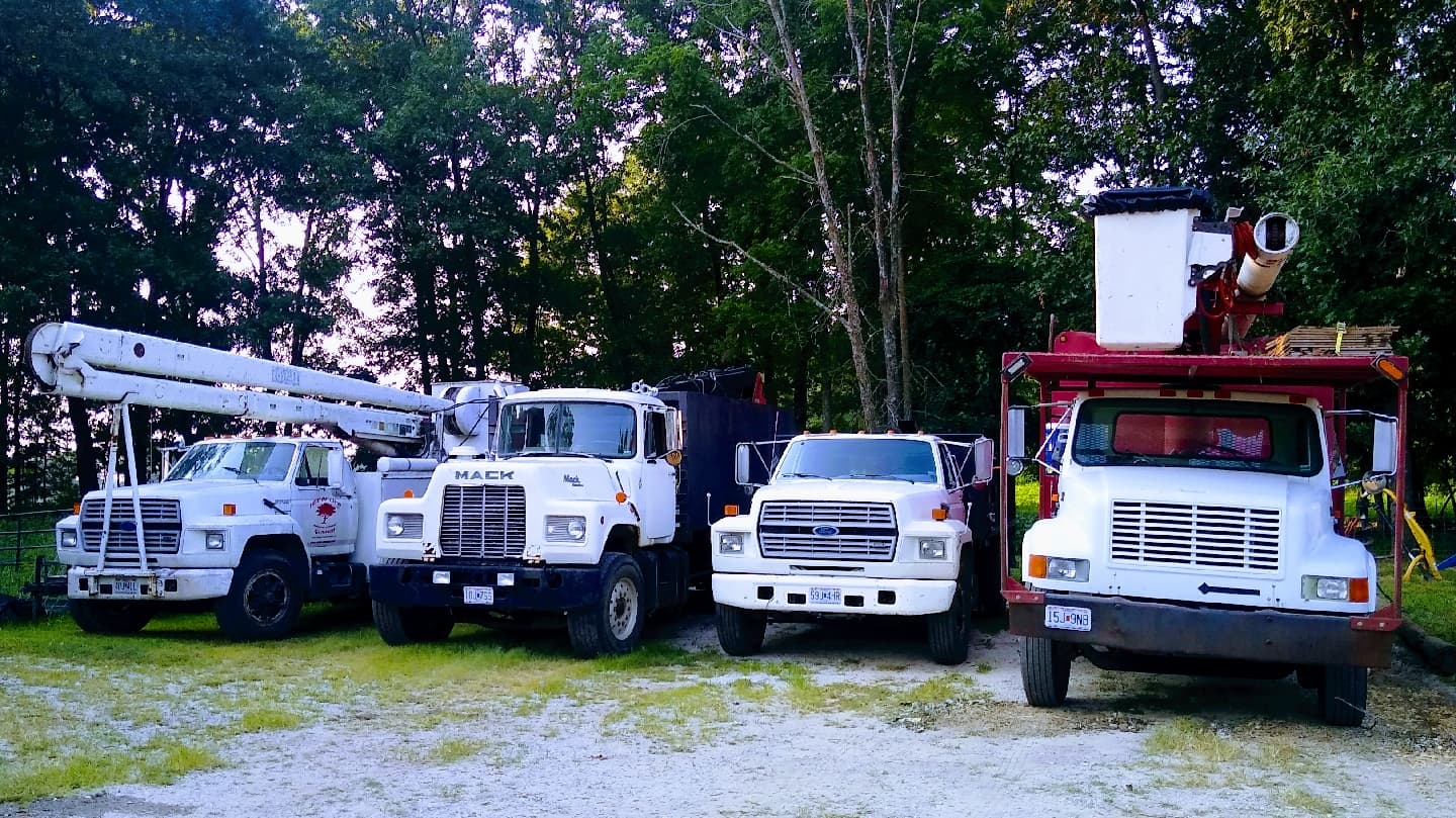 Tree Of Life Arborist Services LLC