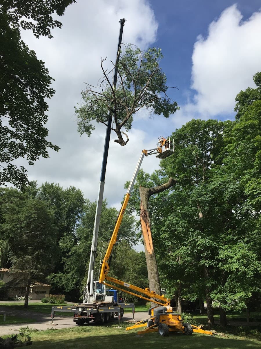 L and T Tree Services