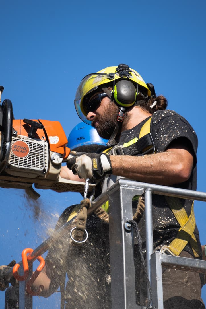 Rain City Tree Works