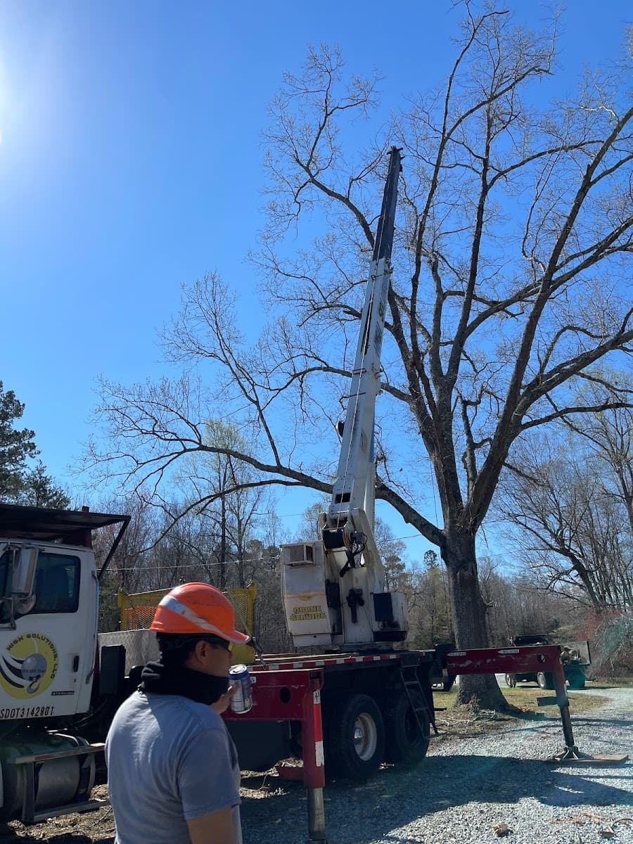 Guzman Tree Service
