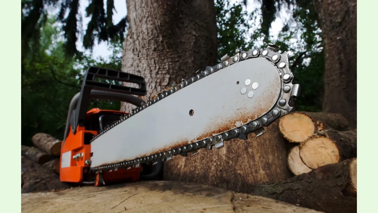 Oakland Tree Service LLC