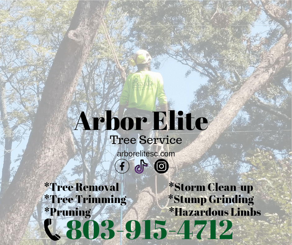 Arbor Elite