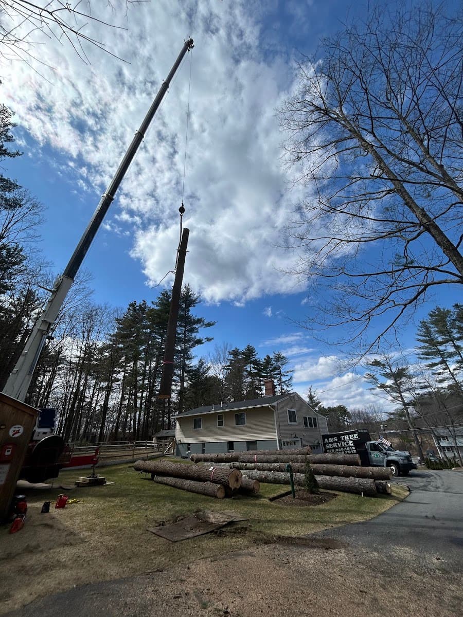 A&S Tree Service LLC