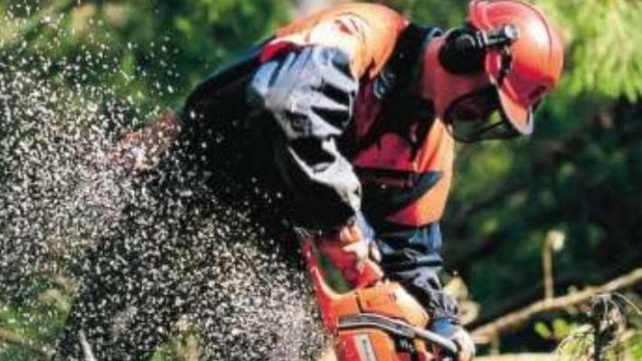 Efficiency Tree Service