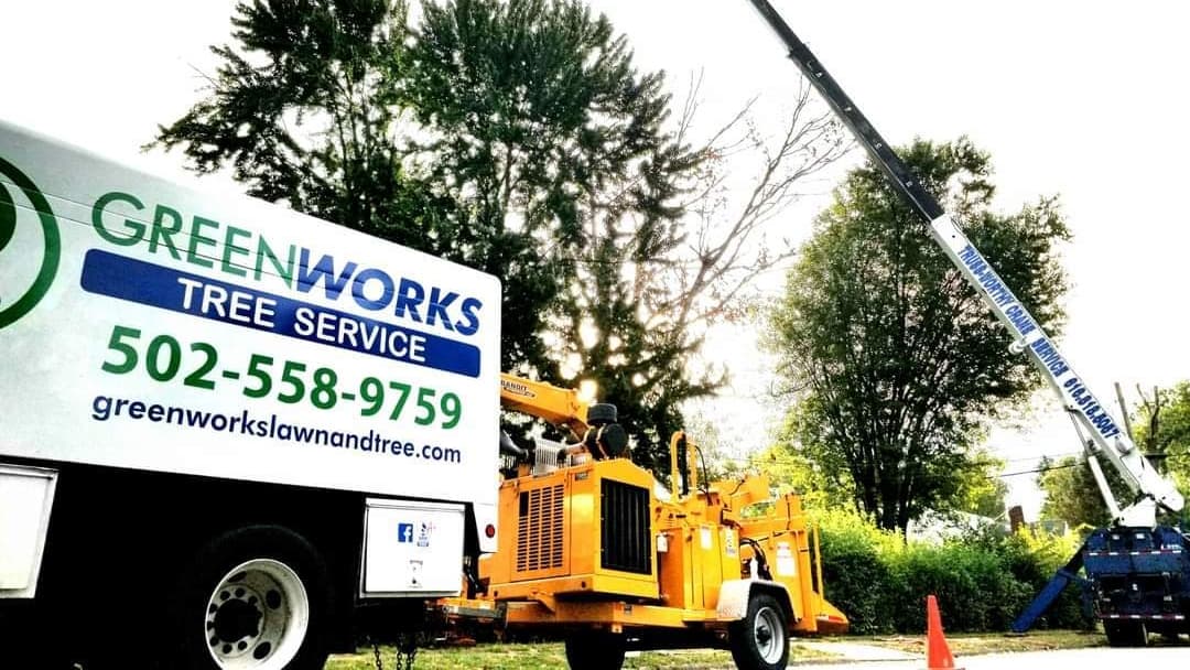 Greenworks Lawn, Landscape & TreE