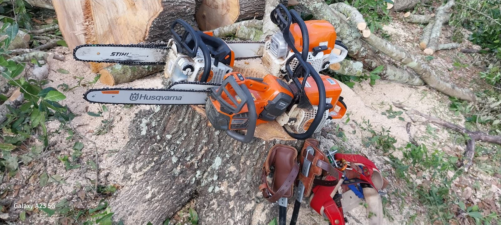 Clear view tree service