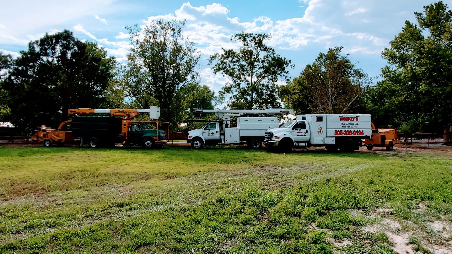 Monkey's Tree Services LLC