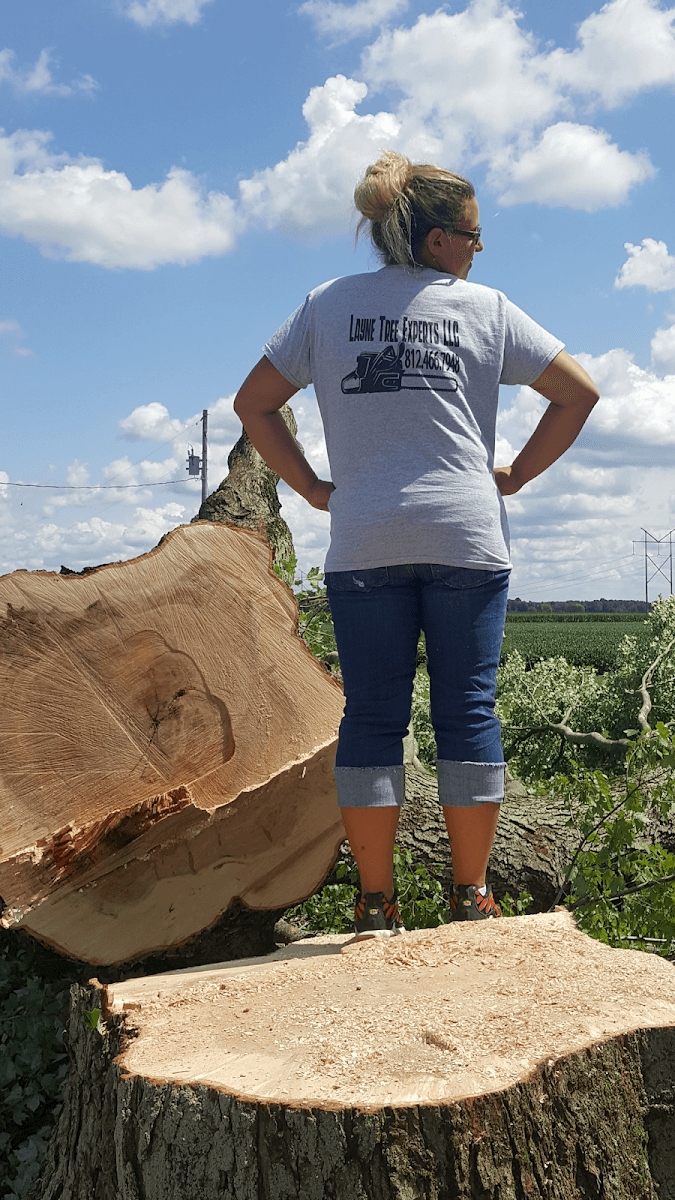 Layne Tree Experts LLC