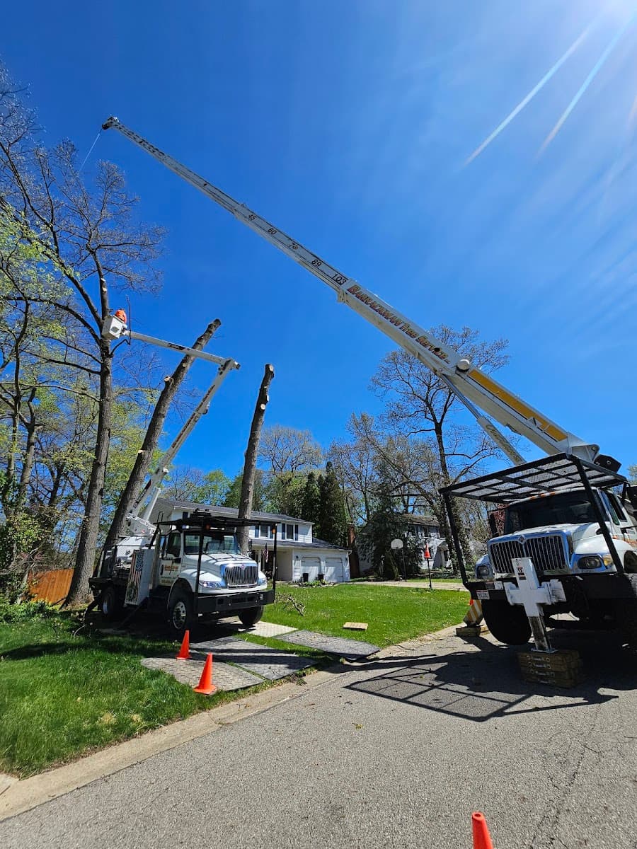 Barrackman Tree Service LLC