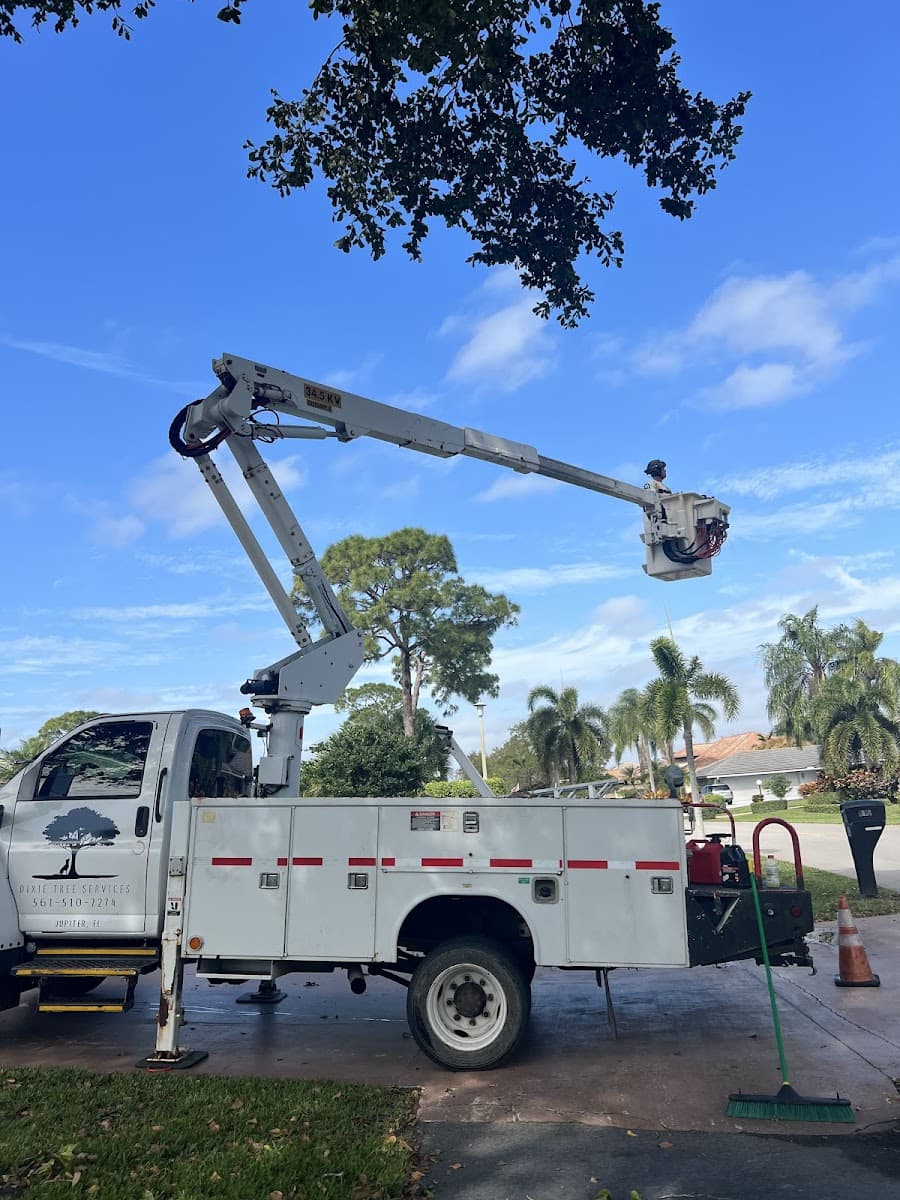 Dixie Tree Services