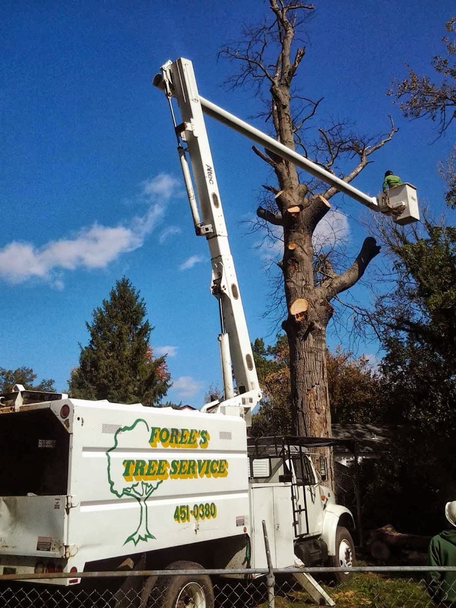 Foree Tree Service