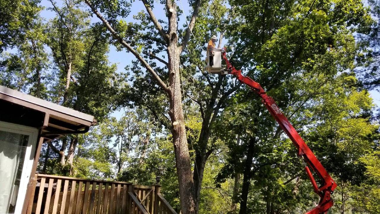 Bobby's Tree Service, Inc