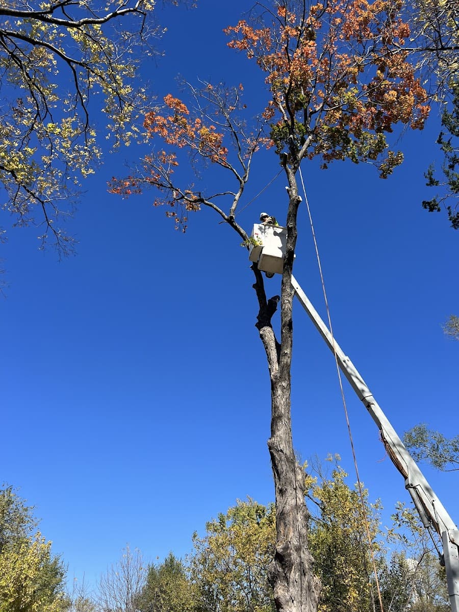 Integrity Tree Service
