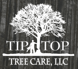 Tip Top Tree Care, LLC
