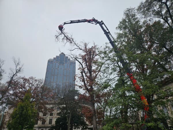 CS Tree Services Inc