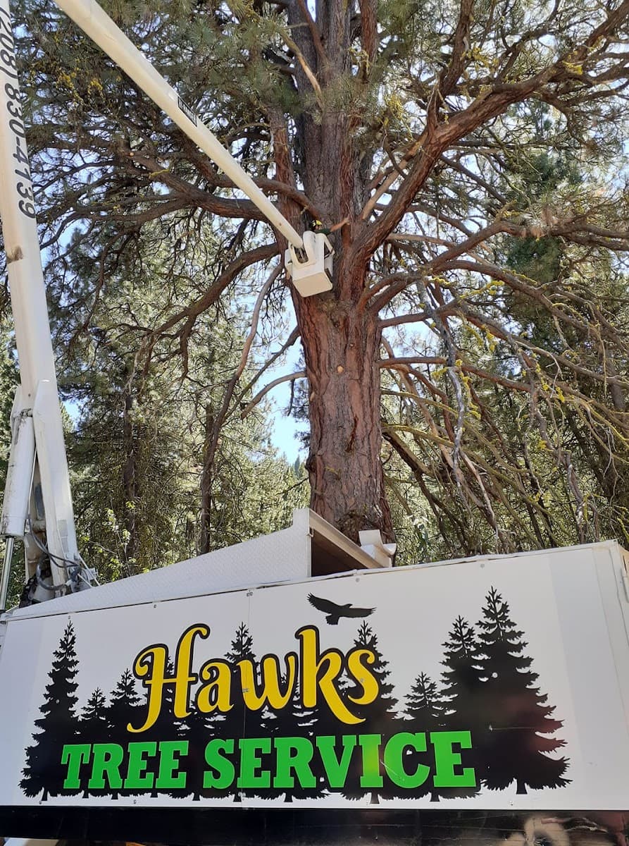 Hawks Tree Services