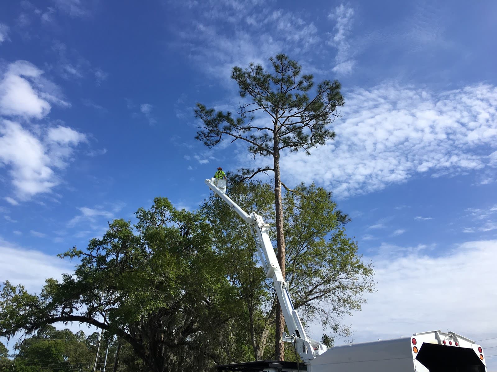 Central Florida Tree & Debris