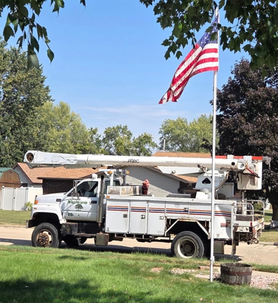 Perfect Tree Service & Stump Grinding LLC