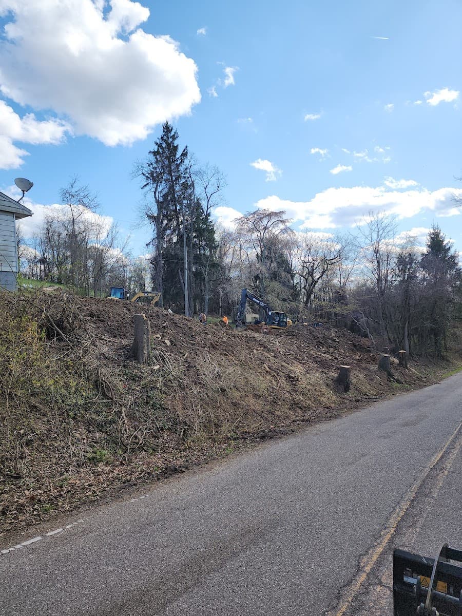 Warner Bros.Tree Service, LLC