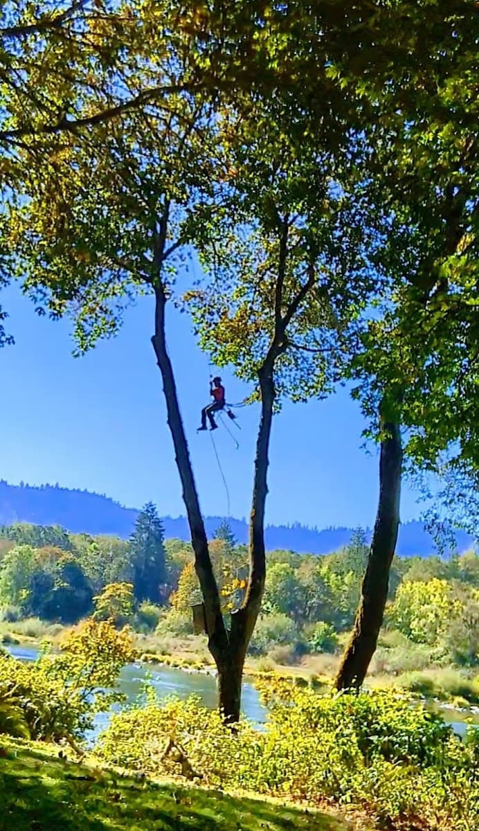 Happy Hills Tree Service, LLC