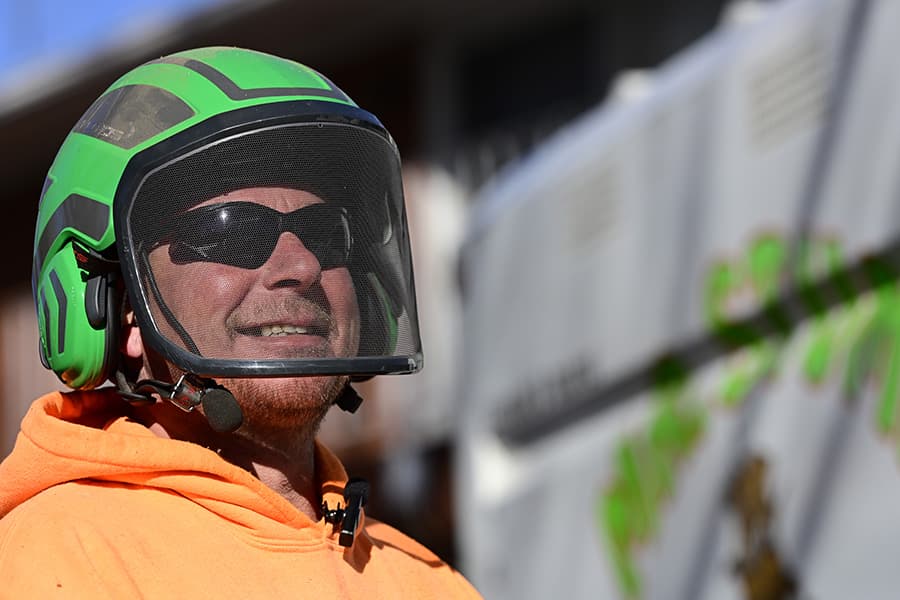 Mr. Stump Tree Service