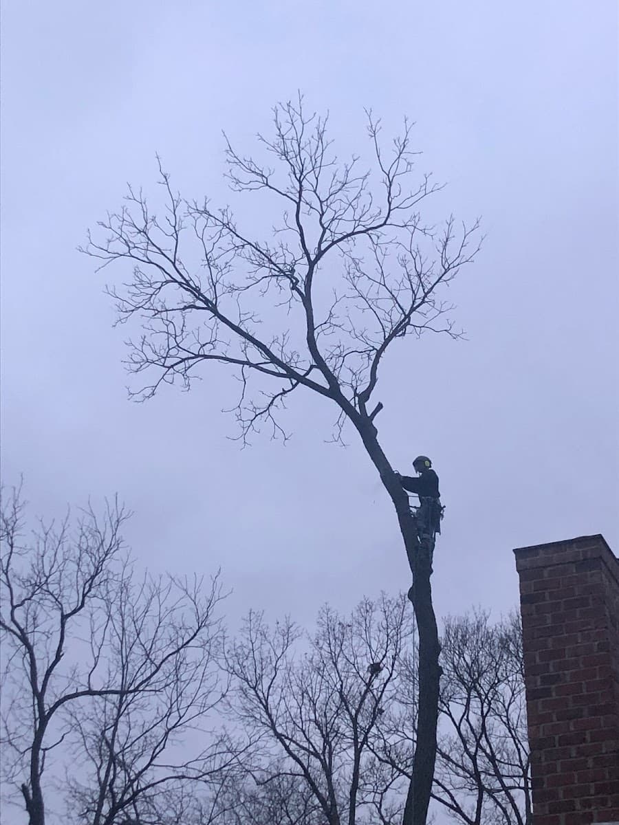 Howard Forest & Prairie