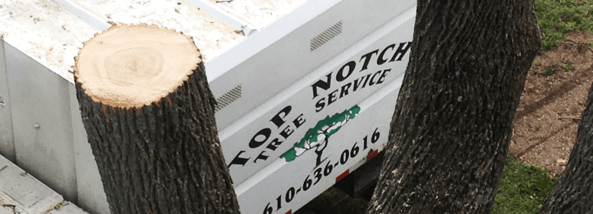 Top Notch Tree Service
