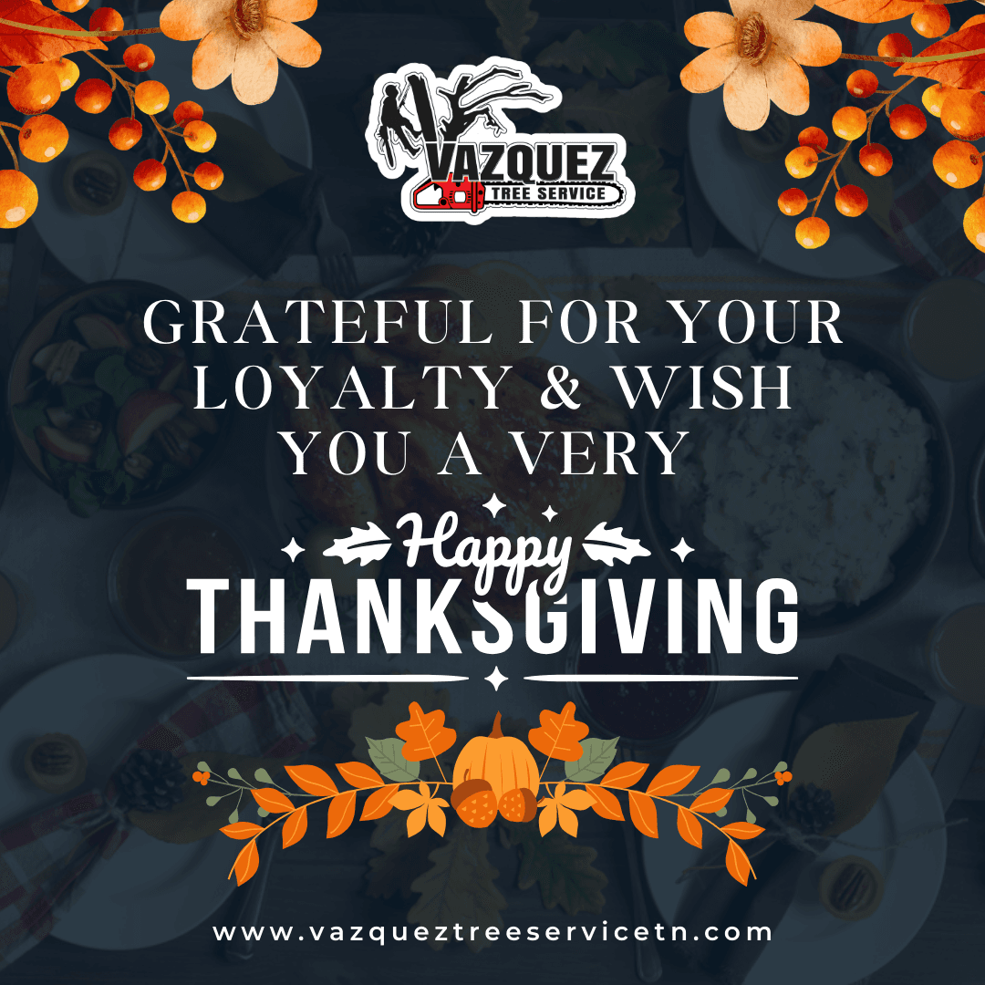 Vazquez Tree Service