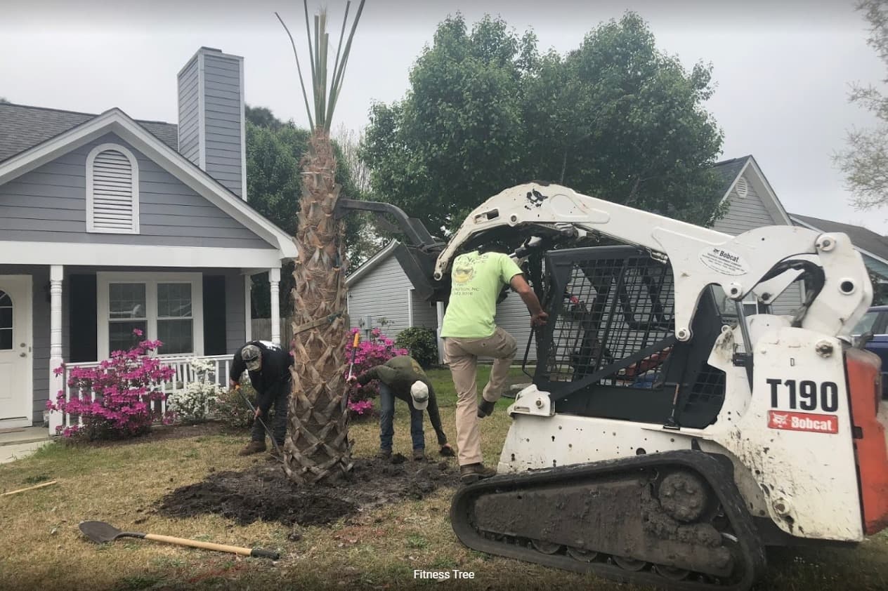 Fitness Tree Service