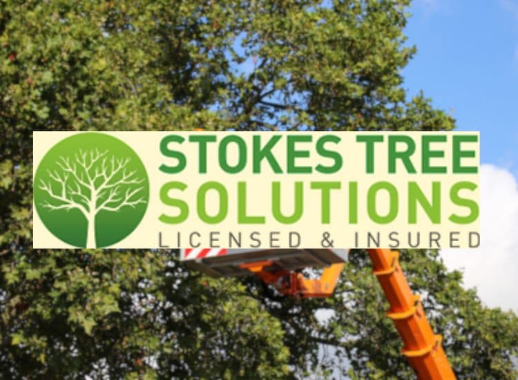 Stokes Tree Solutions
