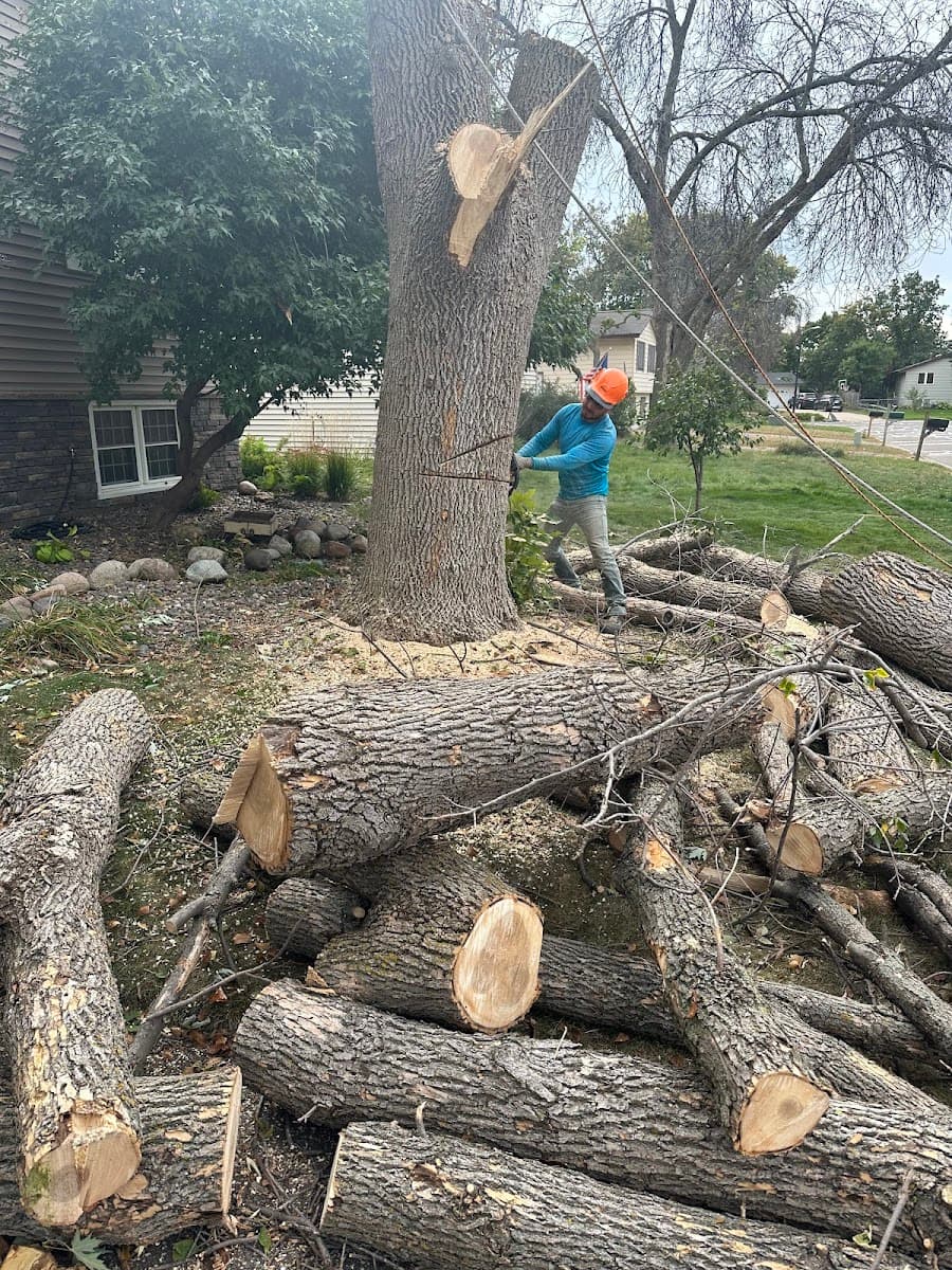 Solutions JF Landscaping & Tree Services