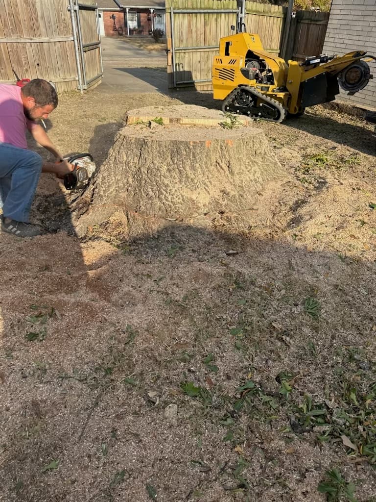 Elite Bartlesville Tree Services