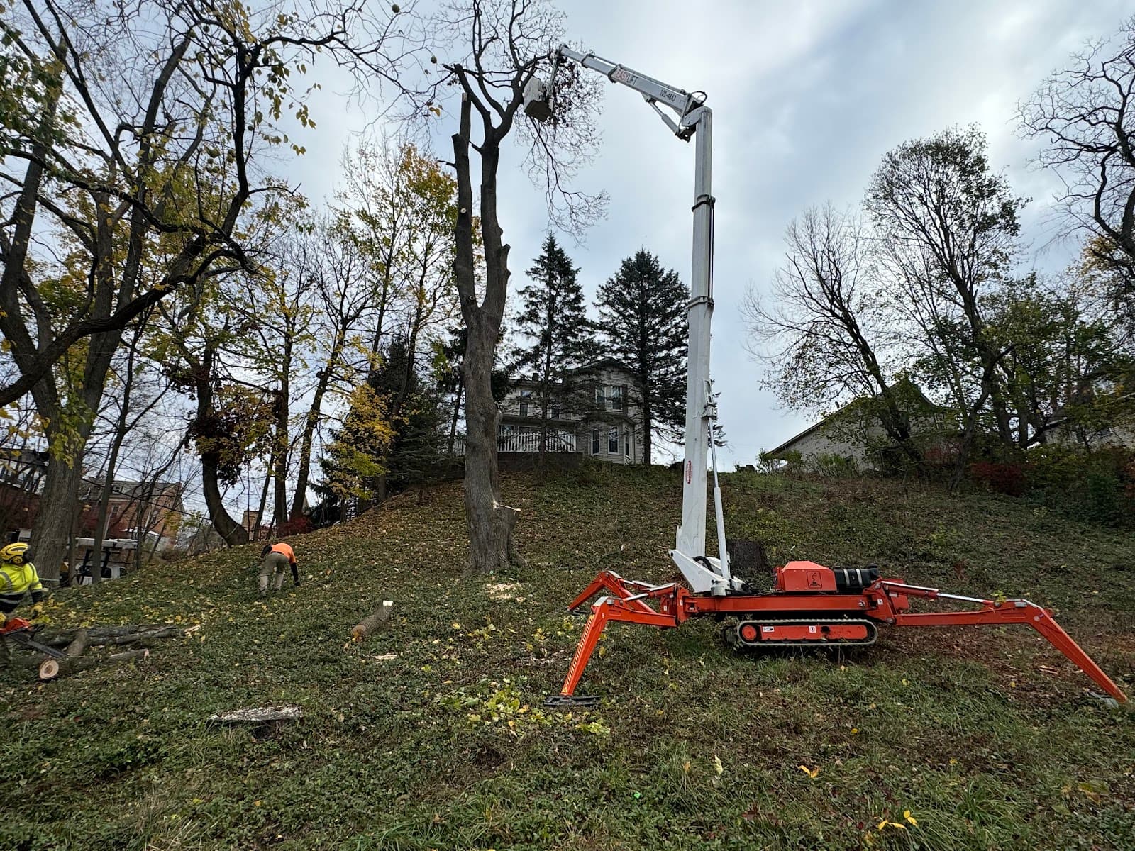 Hudson & Son's Tree Service