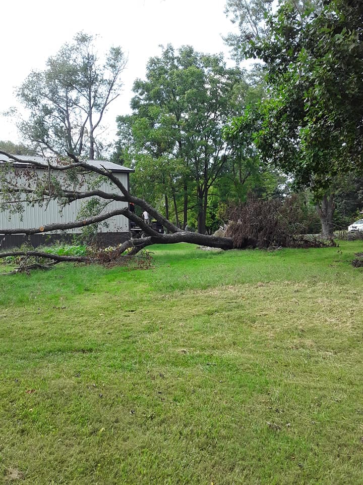 Pasadena Tree Service