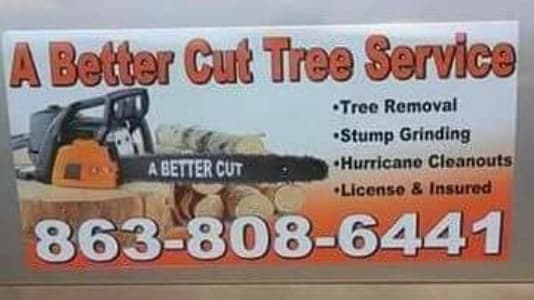 A Better Cut Tree Service