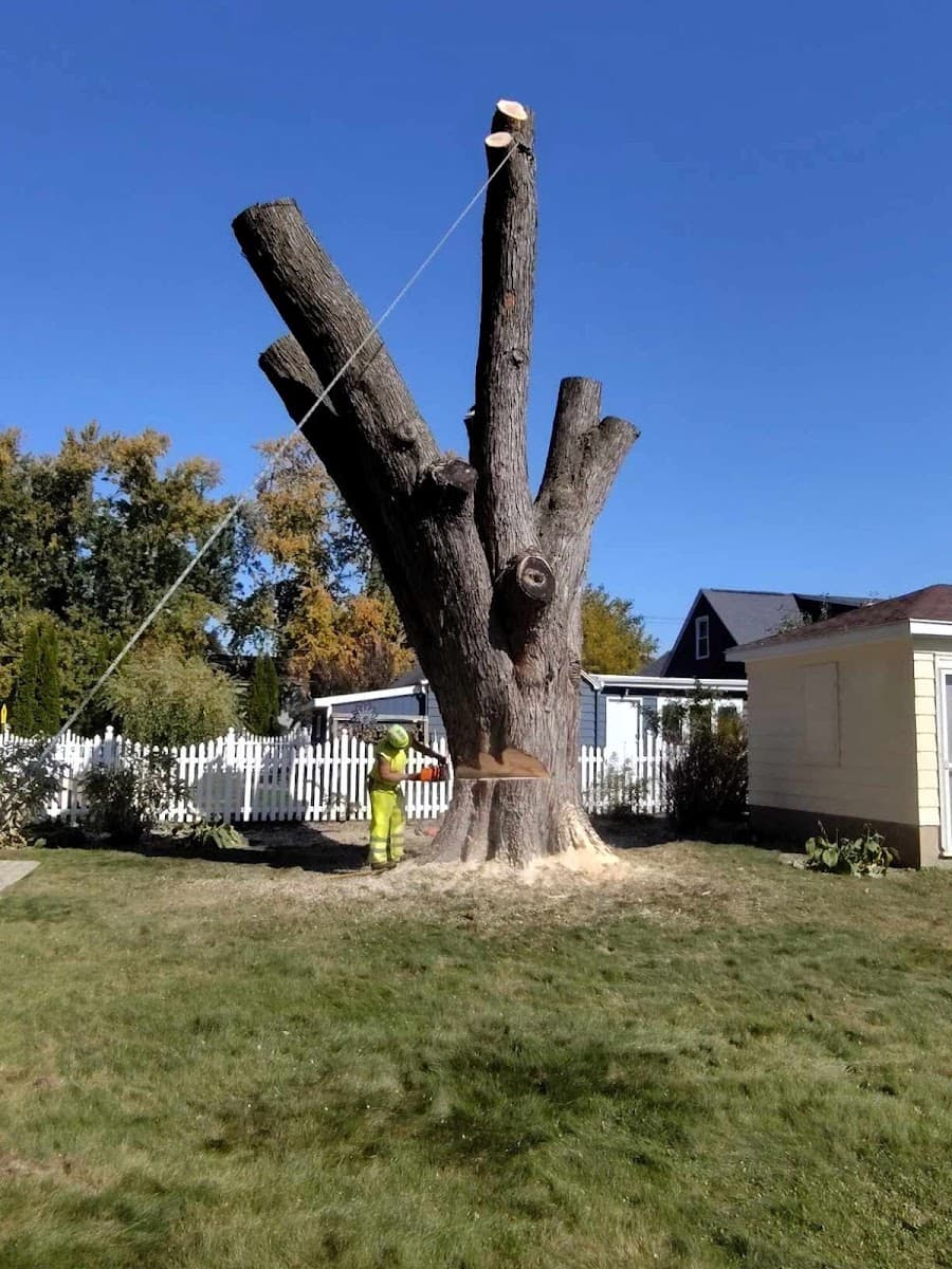 Boley Tree & Landscape Care Inc